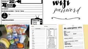12+ Essential Babysitter Binder Ideas Parents Swear By