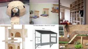 14+ Genius Cats House Ideas Your Feline Will Obsess Over