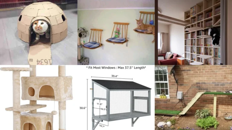 14+ Genius Cats House Ideas Your Feline Will Obsess Over