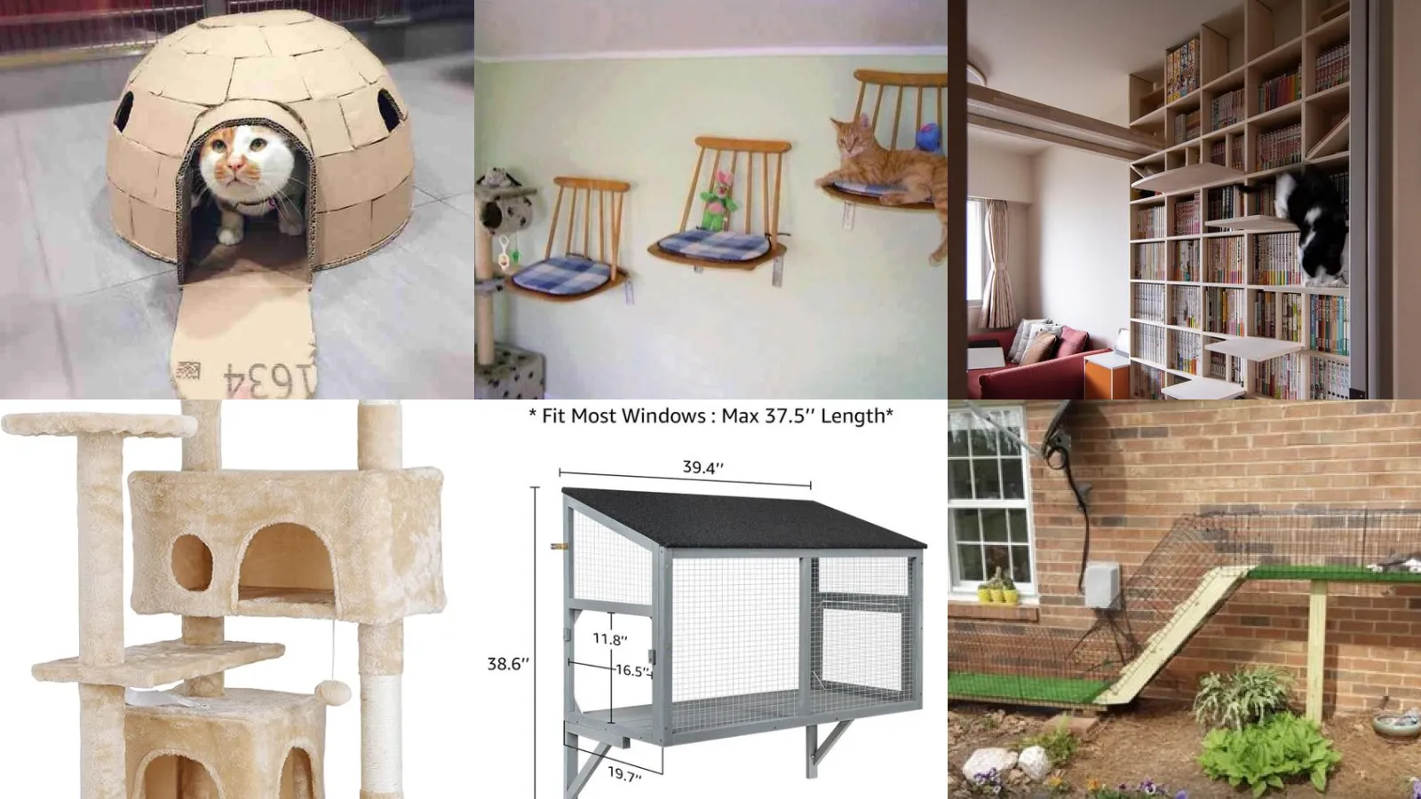 14+ Genius Cats House Ideas Your Feline Will Obsess Over