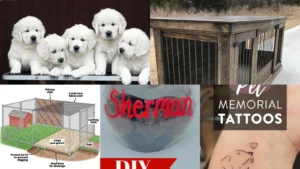 11+ Adorable Dog Name Ideas That Steal Hearts