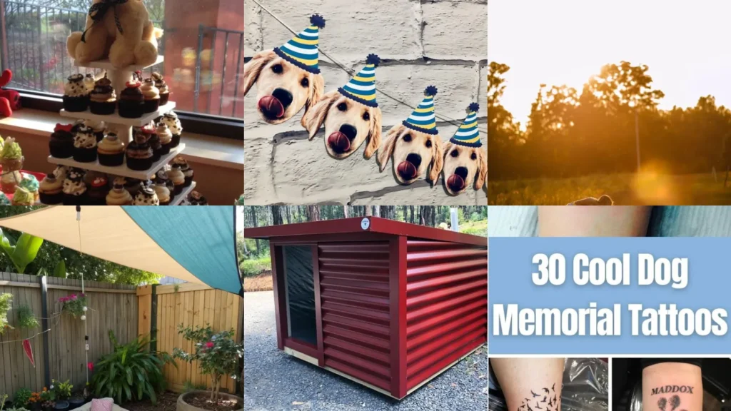 18+ Adorable Dogs Birthday Ideas That Steal the Show