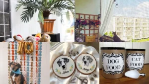 14+ Brilliant Pet Ideas That Save Time & Money