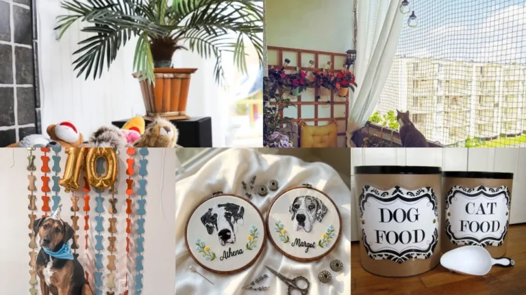 14+ Brilliant Pet Ideas That Save Time & Money
