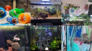 20+ Stunning Axolotl Tank Ideas That Transform Your Space