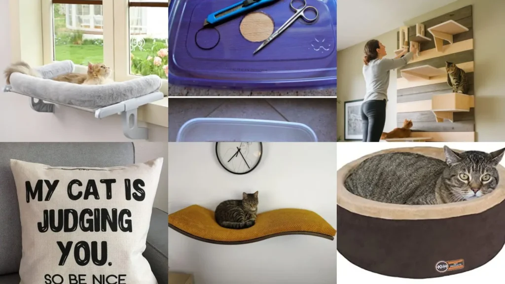 15+ Adorable Cat Ideas That’ll Transform Your Home