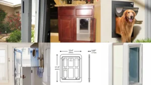 20+ Clever Dog Door Ideas That Transform Your Home