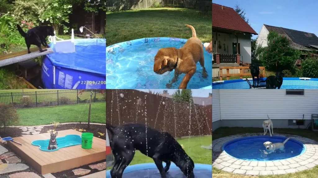 17+ Genius Dog Pool Ideas That Beat the Heat